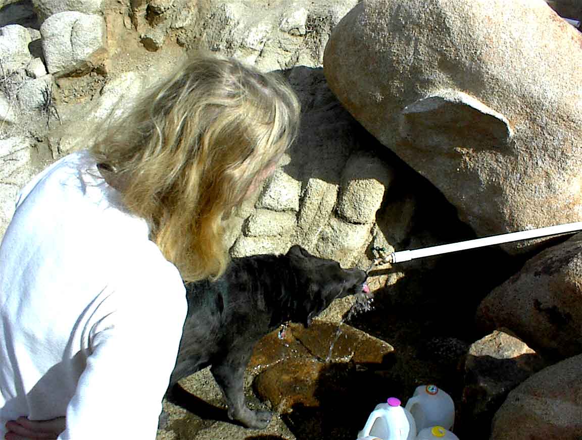 Building a water system