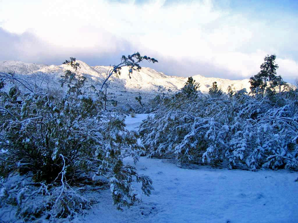 A part of The Joshua Tree National Park mountain range