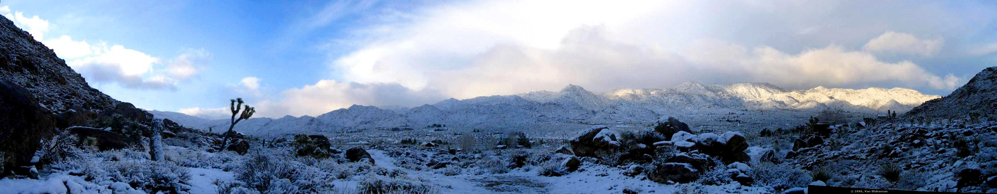 This Joshua Tree National Park mountain range out my window