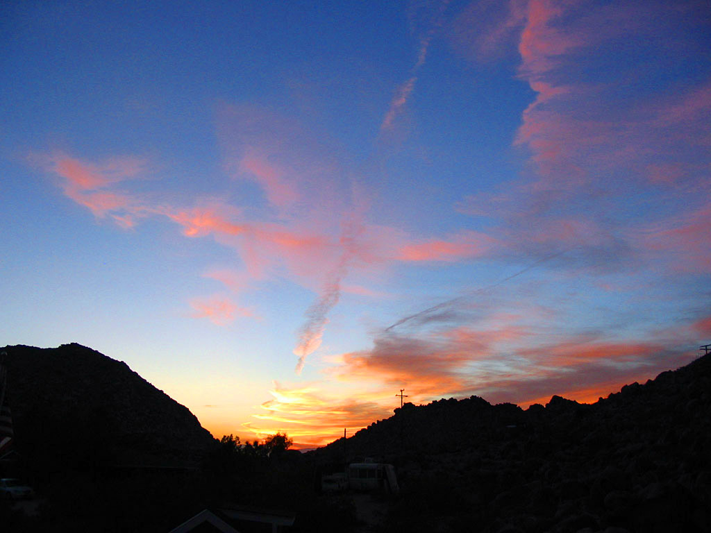A Joshua Tree sunset