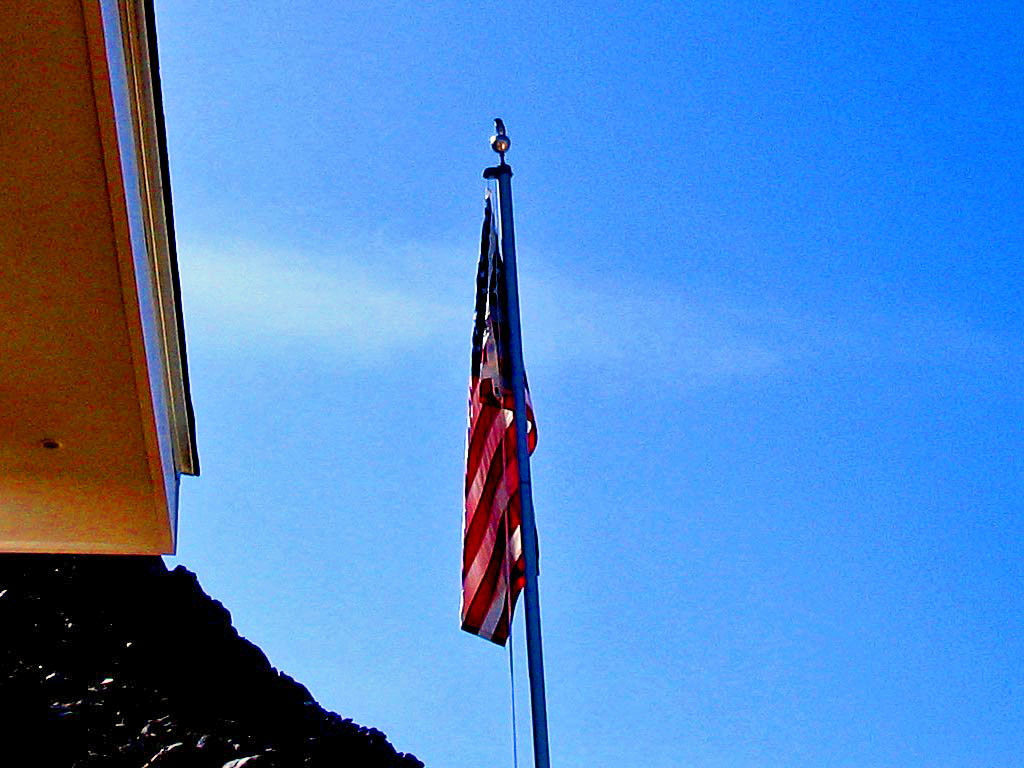 Thought about getting an eagle but this will work