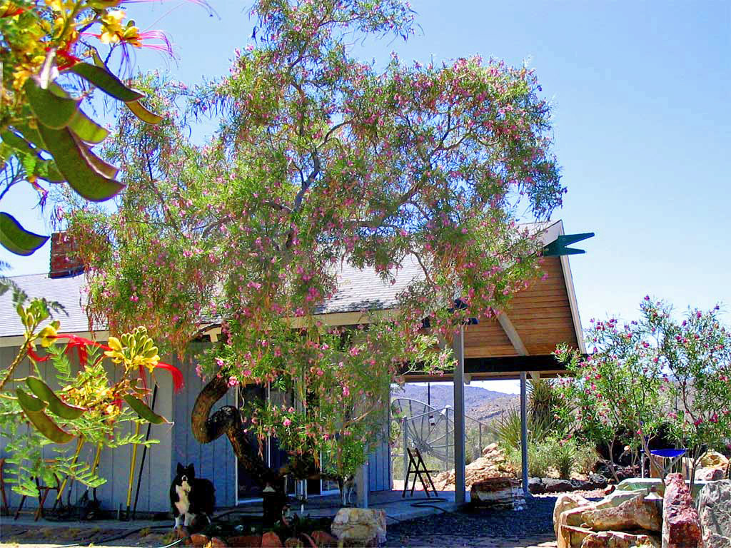 The home of Bill Bolster