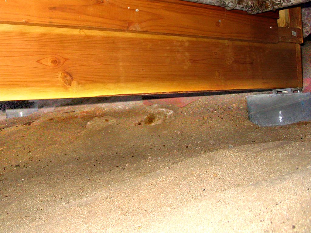 Two sono tube footings 6 weeks after forming