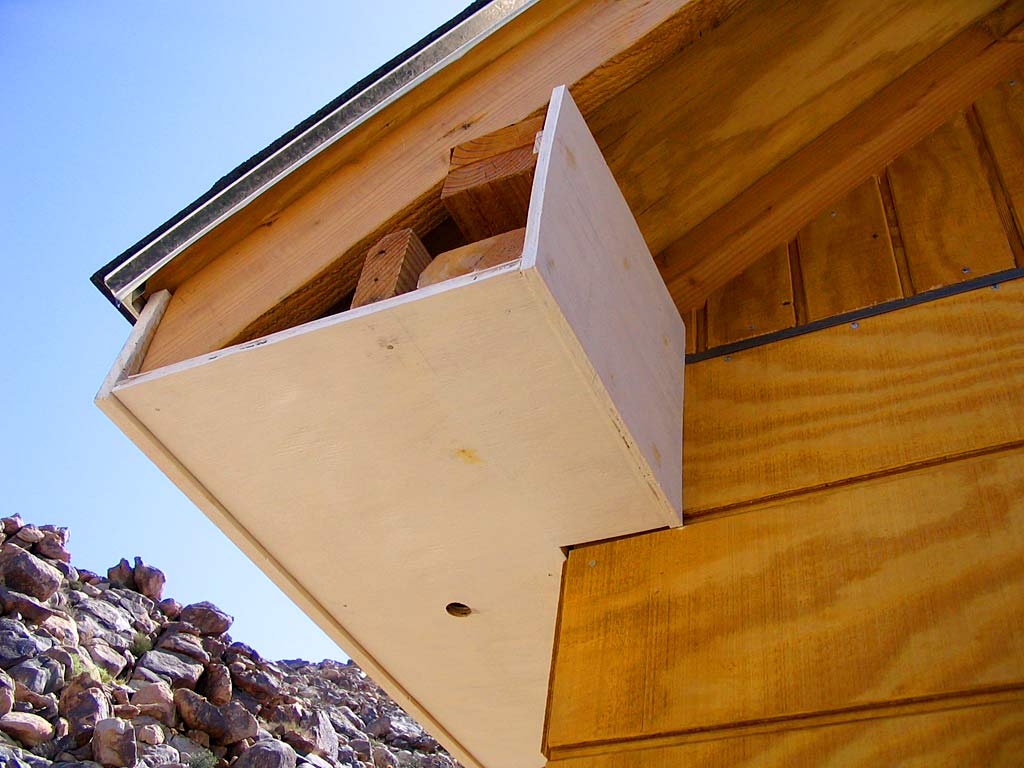 The primed the north-east rear soffit boards are in