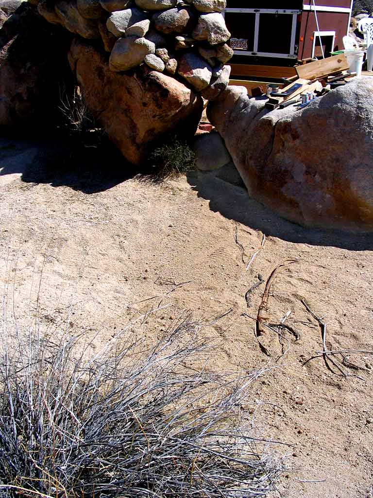 The drainage field for the urinal has been filled in