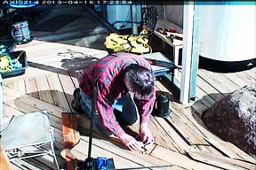 Gluing Broken Deck Board