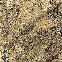 A Satellite View Of Our Land