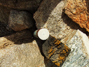 A Surveyor's Rubber Tag At Our SW Corner