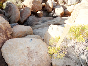 A Surveyor's Brass Tag At Our NE Corner