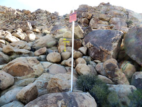 A No Trapping Sign Near Our NE Corner