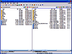 The Typical Dual Pane FTP Window ...