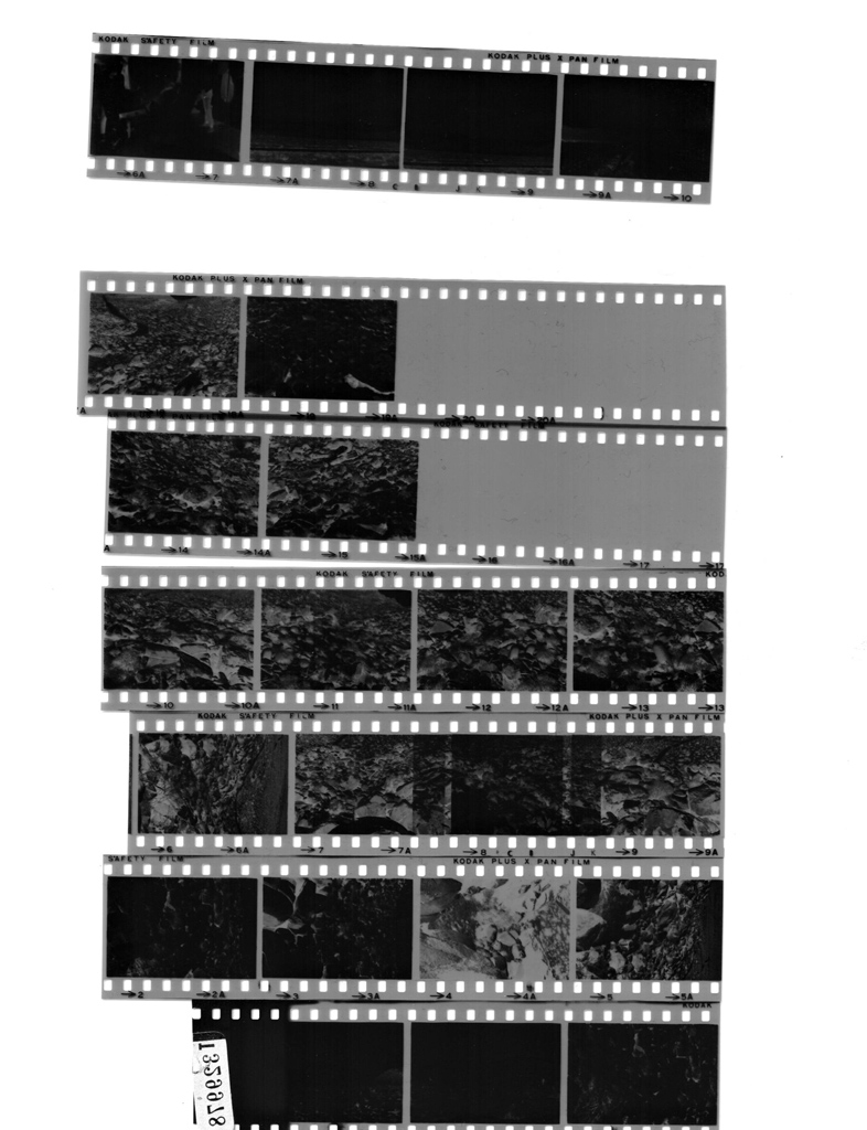 BrotherMFC420CD_0300dpiTrueGray