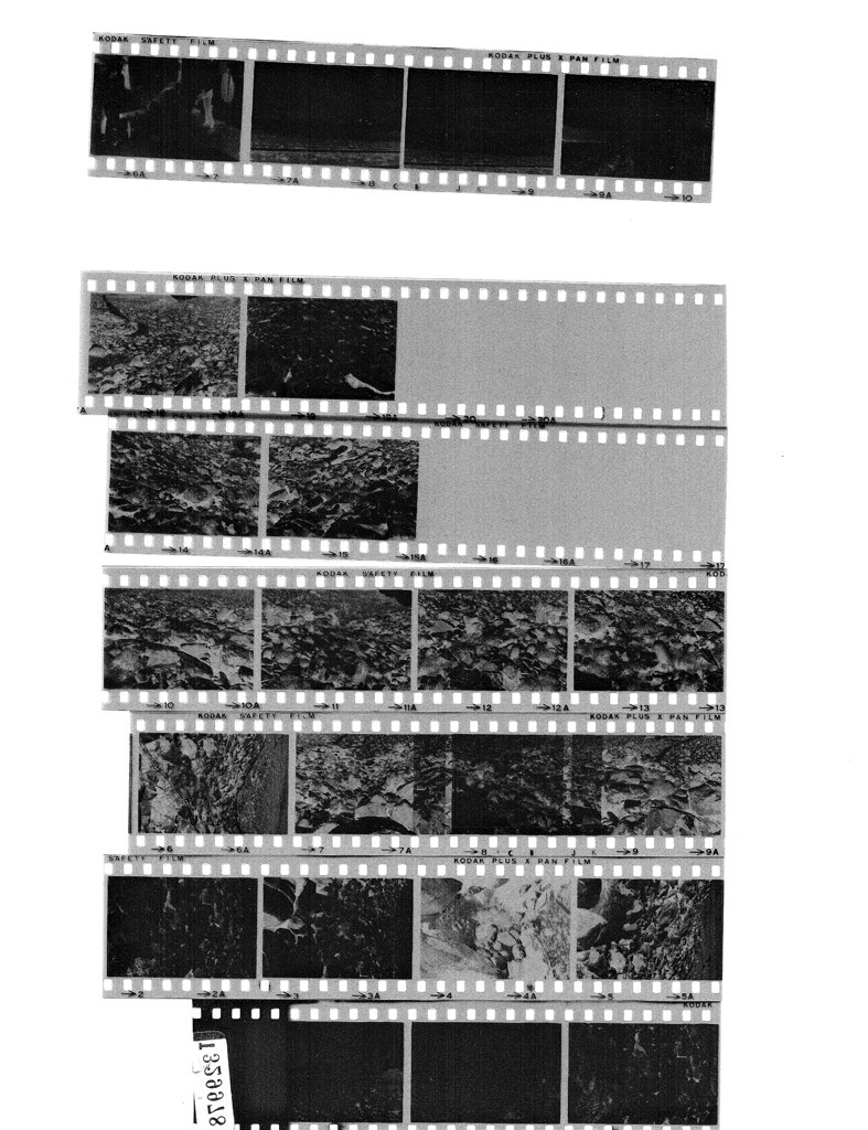 BrotherMFC420CD_0600dpiGrayB70C70