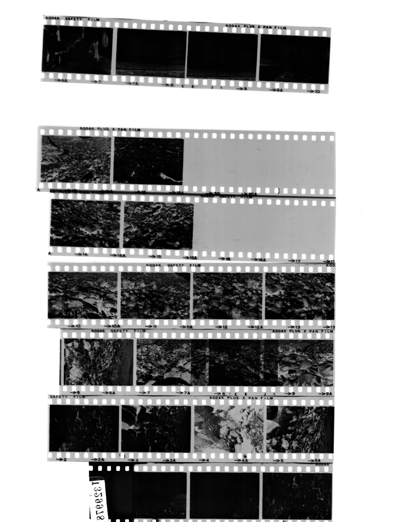 BrotherMFC420CD_0600dpiTrueGrayB70C70