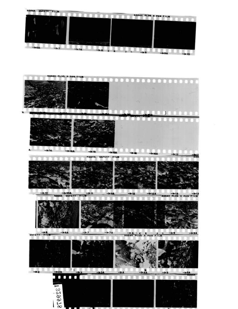 BrotherMFC420CD_0600dpiTrueGrayB80C80