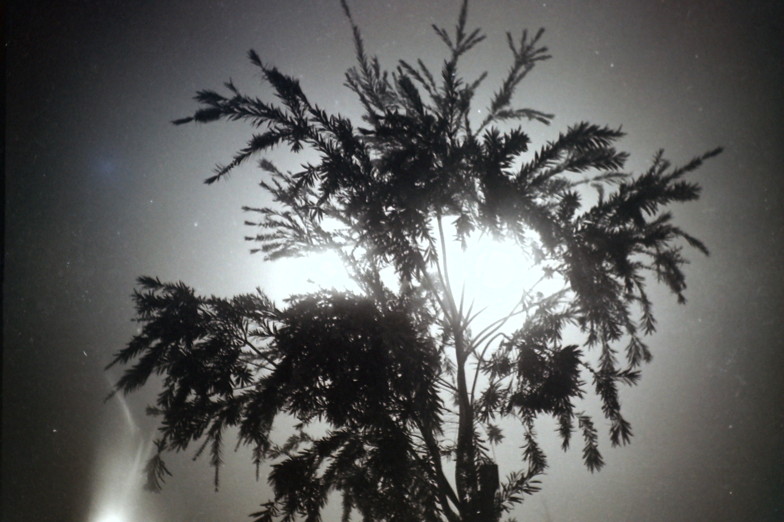 PICT0001
