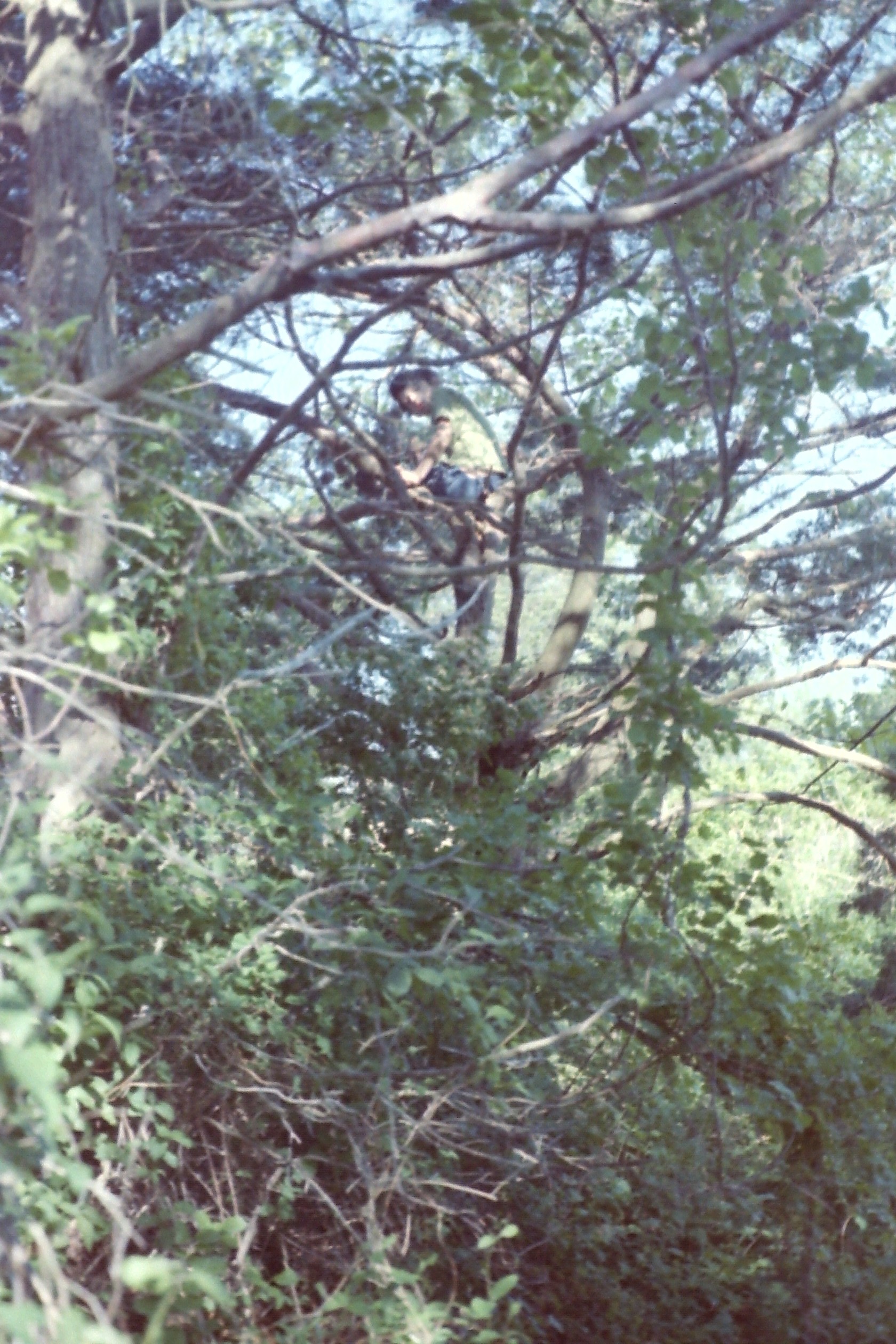 PICT0051_ErichInTree