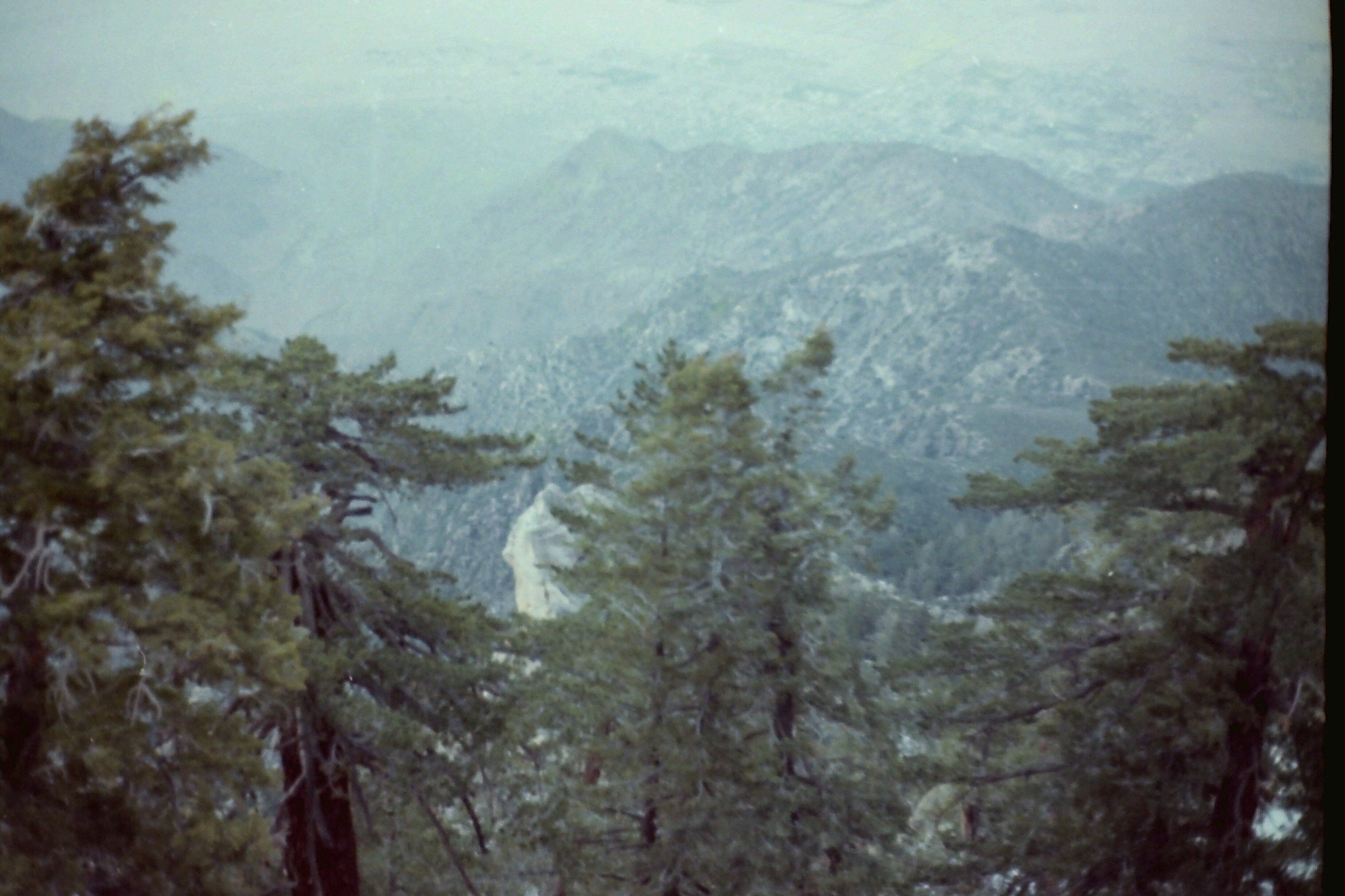 PICT0002_not part of this batch - dont know date