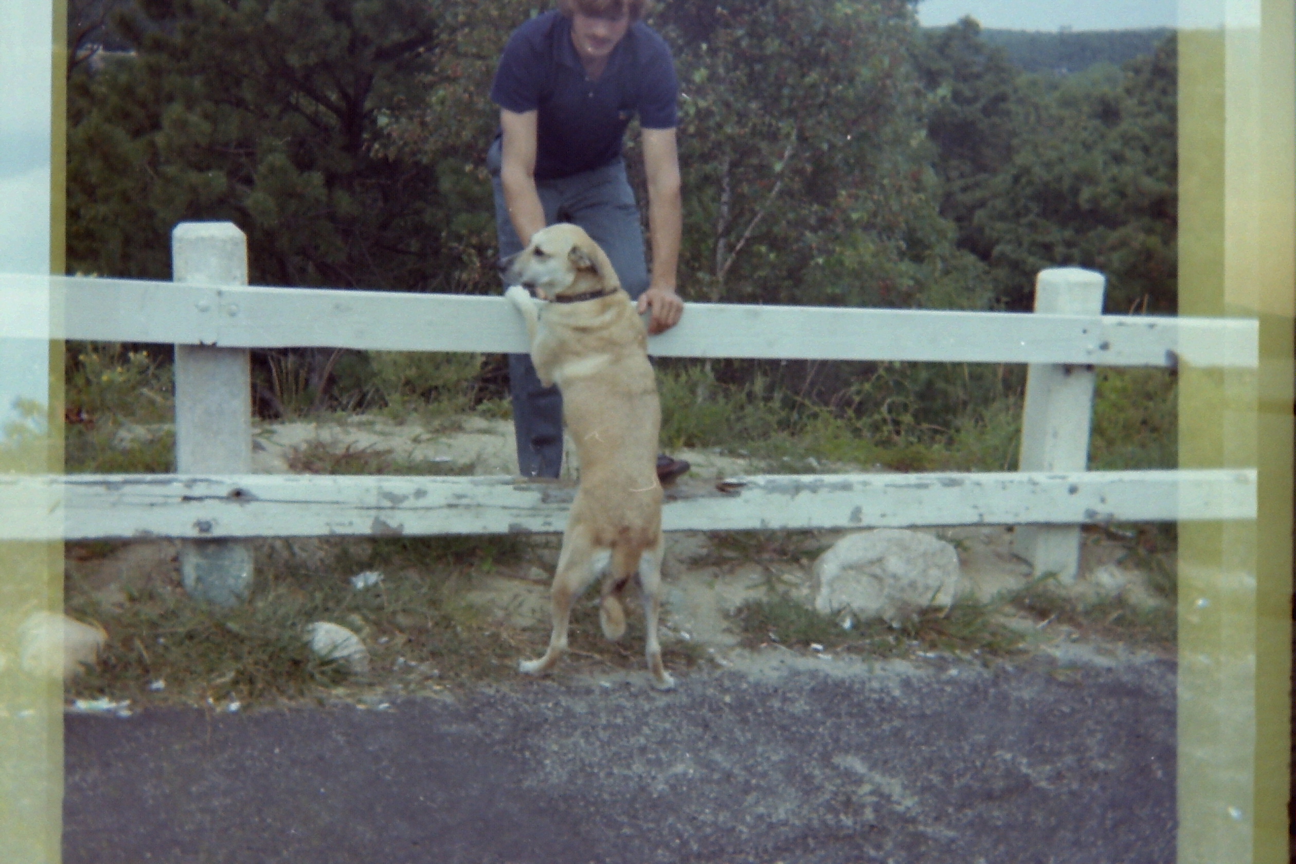 1971-08_P11