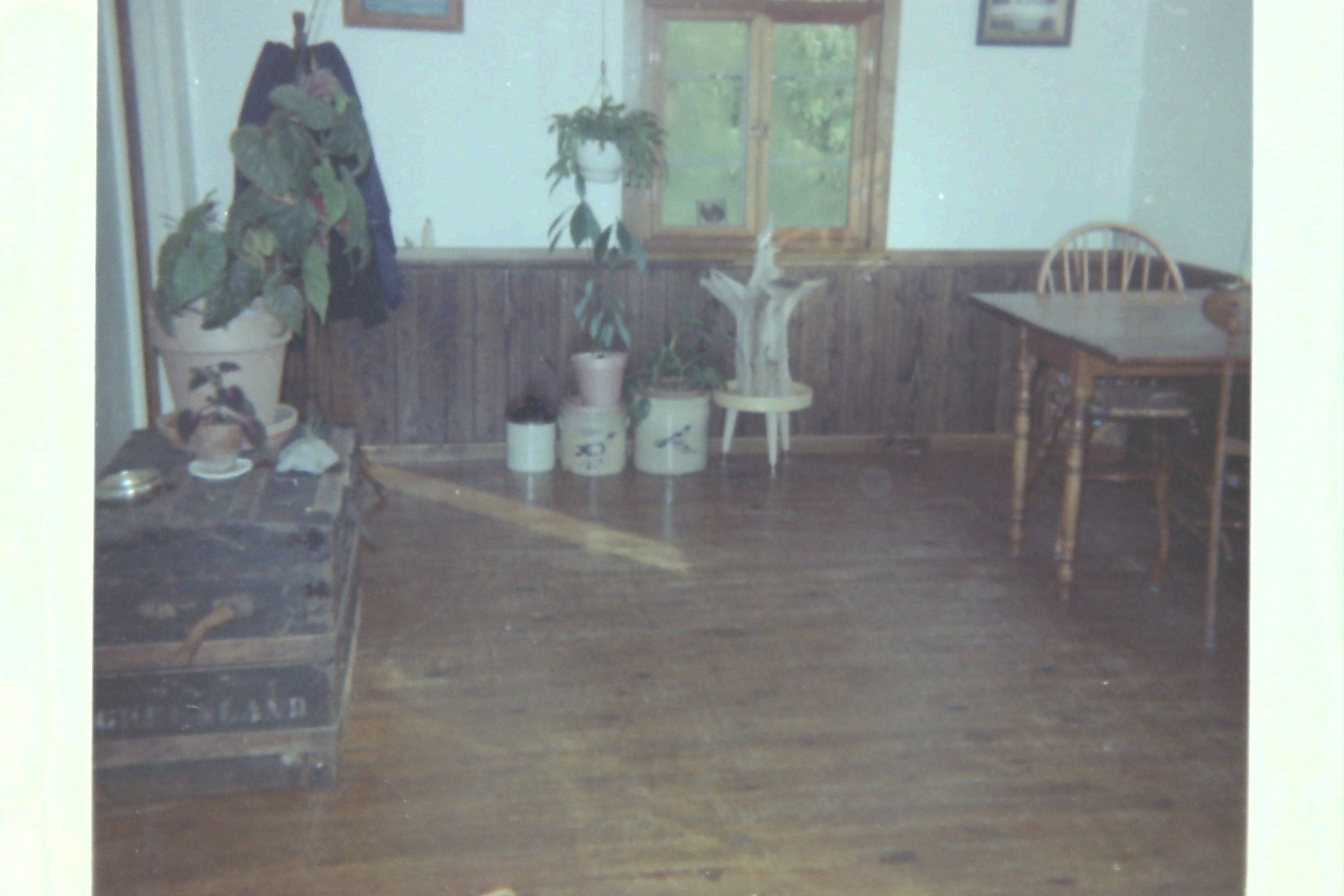 1973-09_P02 grnTrees