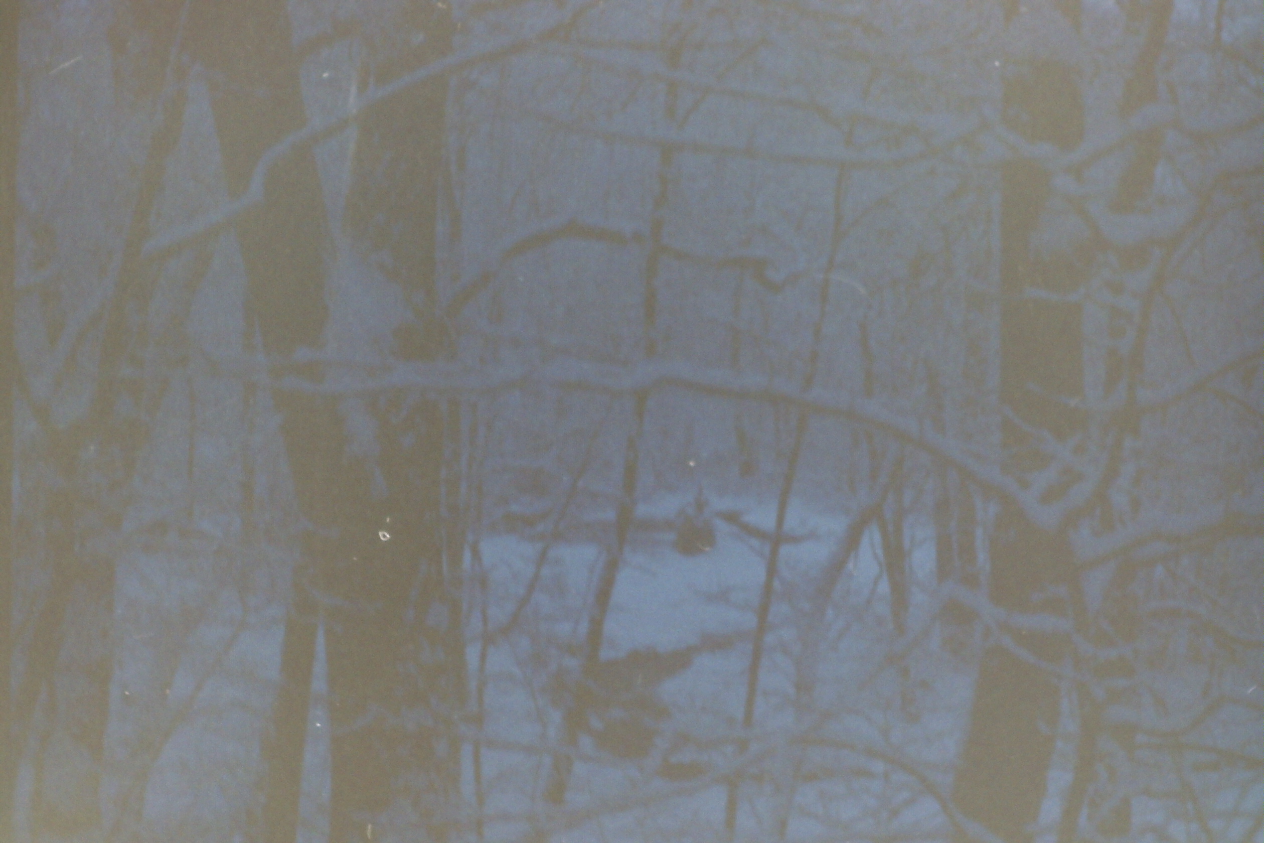 PICT0102 dtUnk MJsnowStreamInWoods