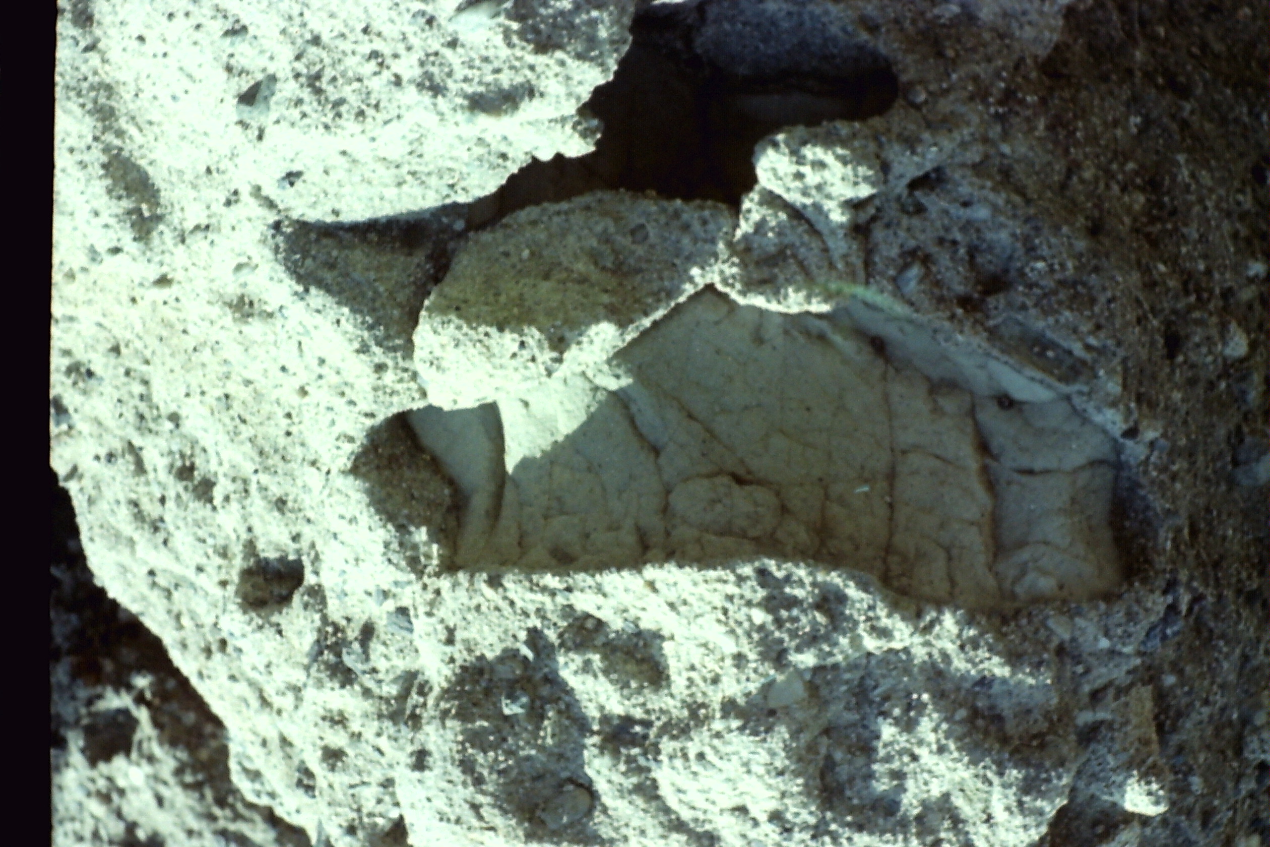 1974-05_P03 phdtMay1974