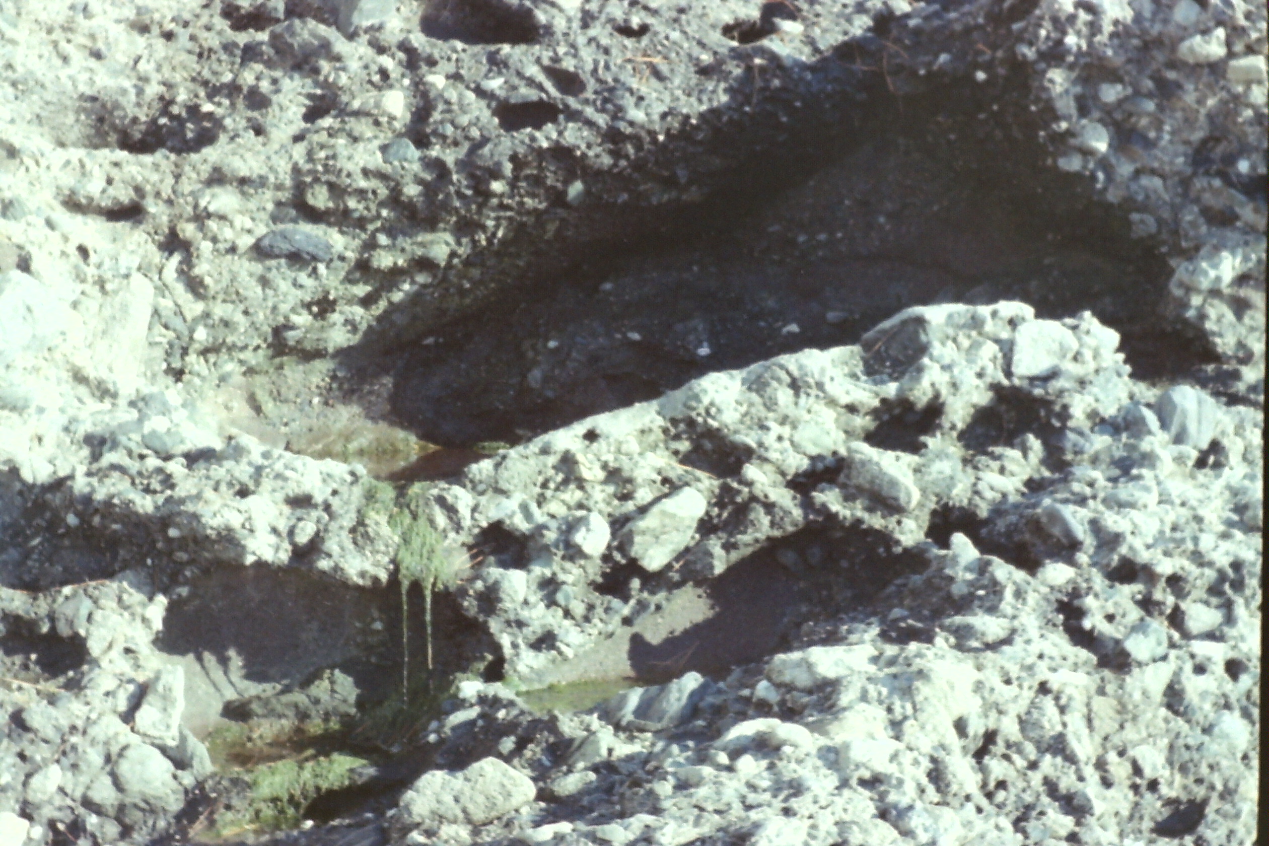 1974-05_P06 phdtMay1974