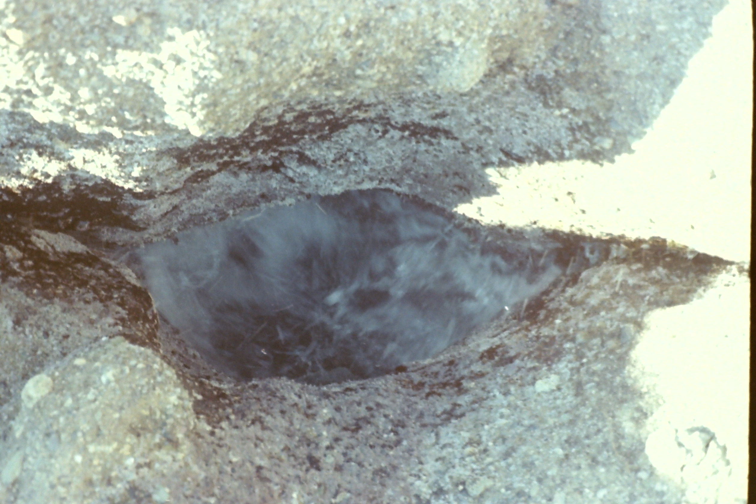 1974-05_P07 phdtMay1974