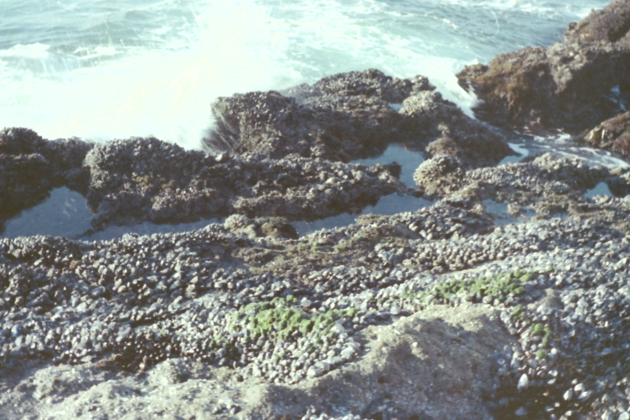 1974-05_P10 phdtMay1974