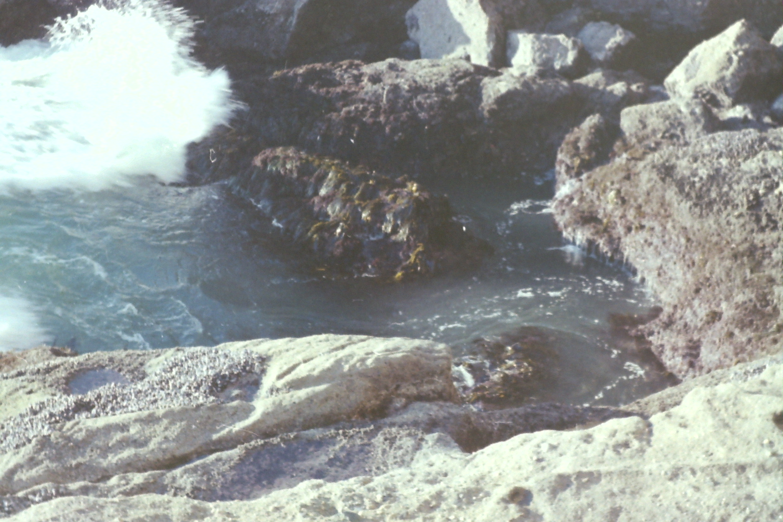 1974-05_P11 phdtMay1974