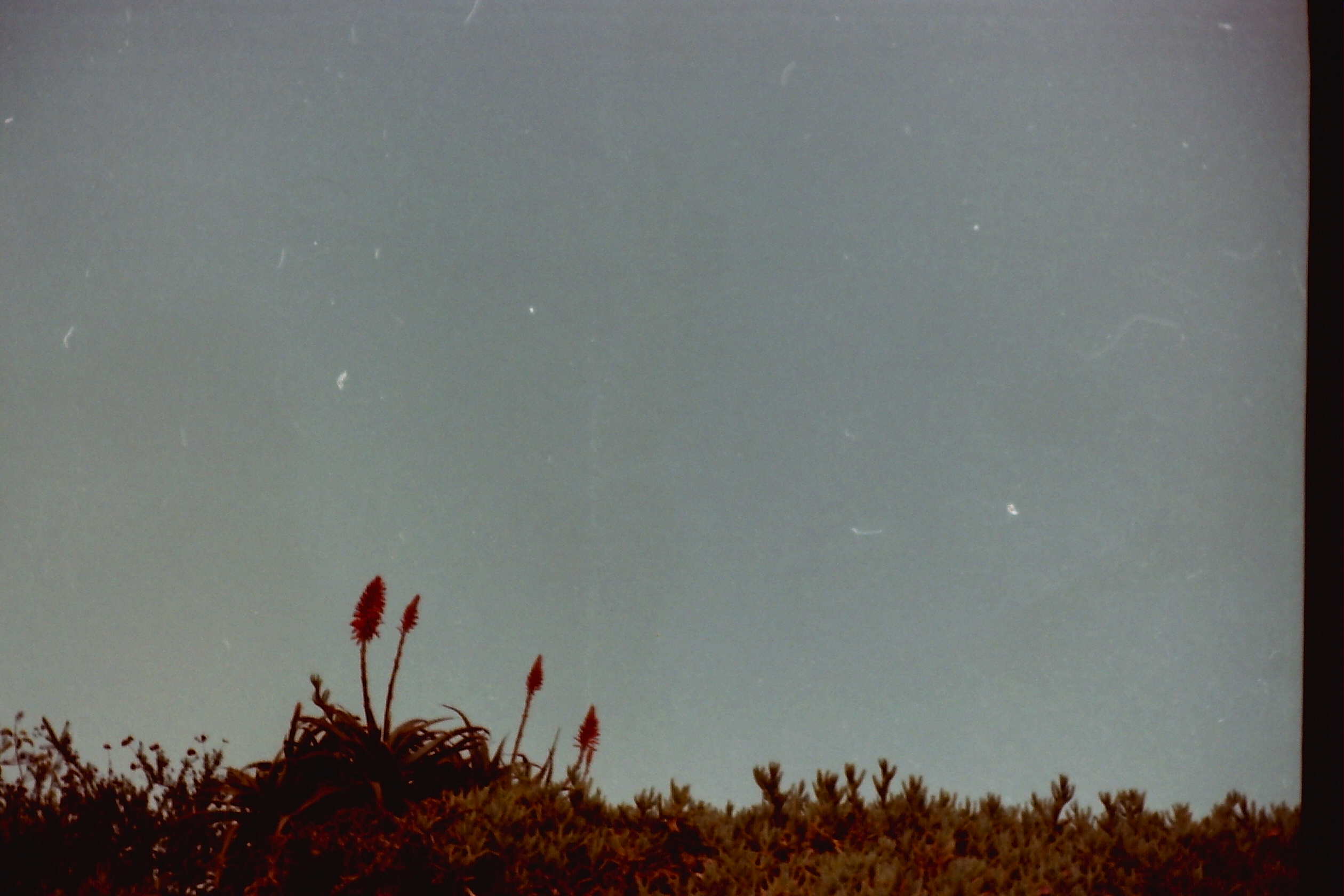 1974-05_P18 phdtMay1974