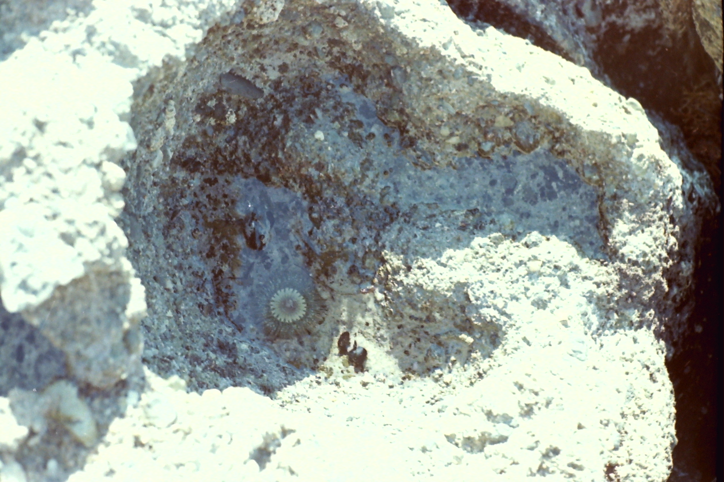 1974-05_P22 phdtMay1974