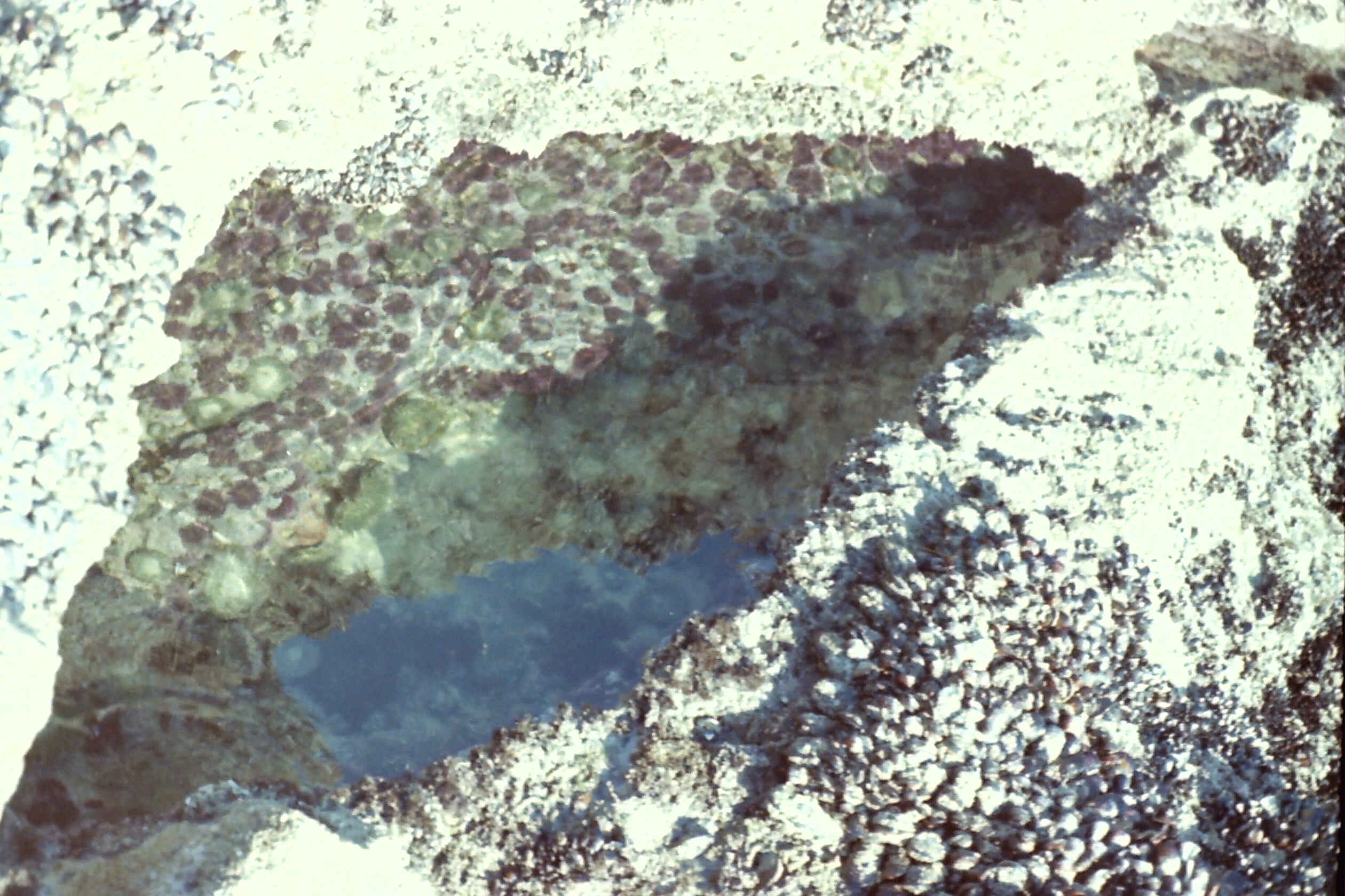 1974-05_P27 phdtMay1974