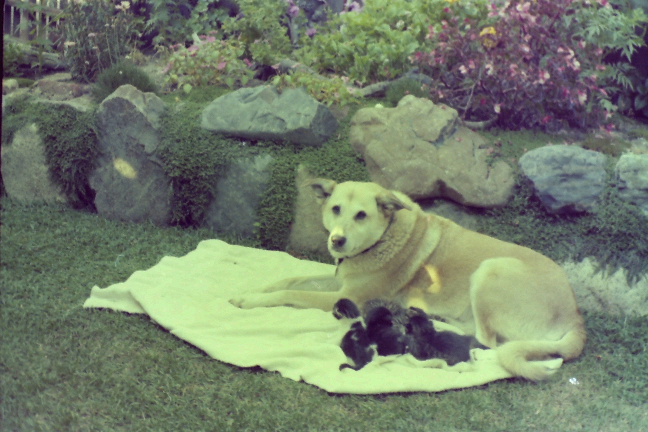 1975-08_P34 phdtSep1975