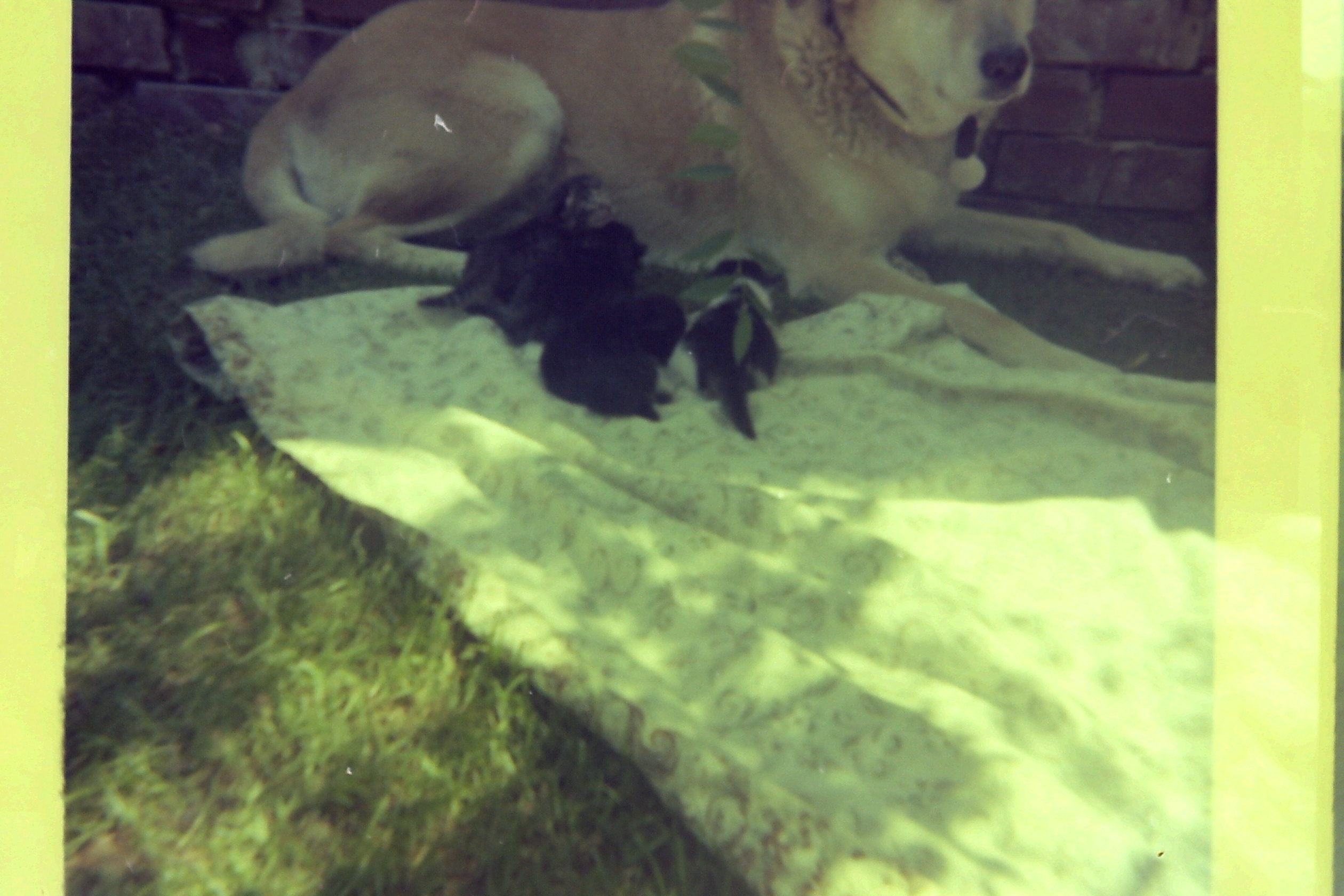 1975-08_P04 phdtJan1976