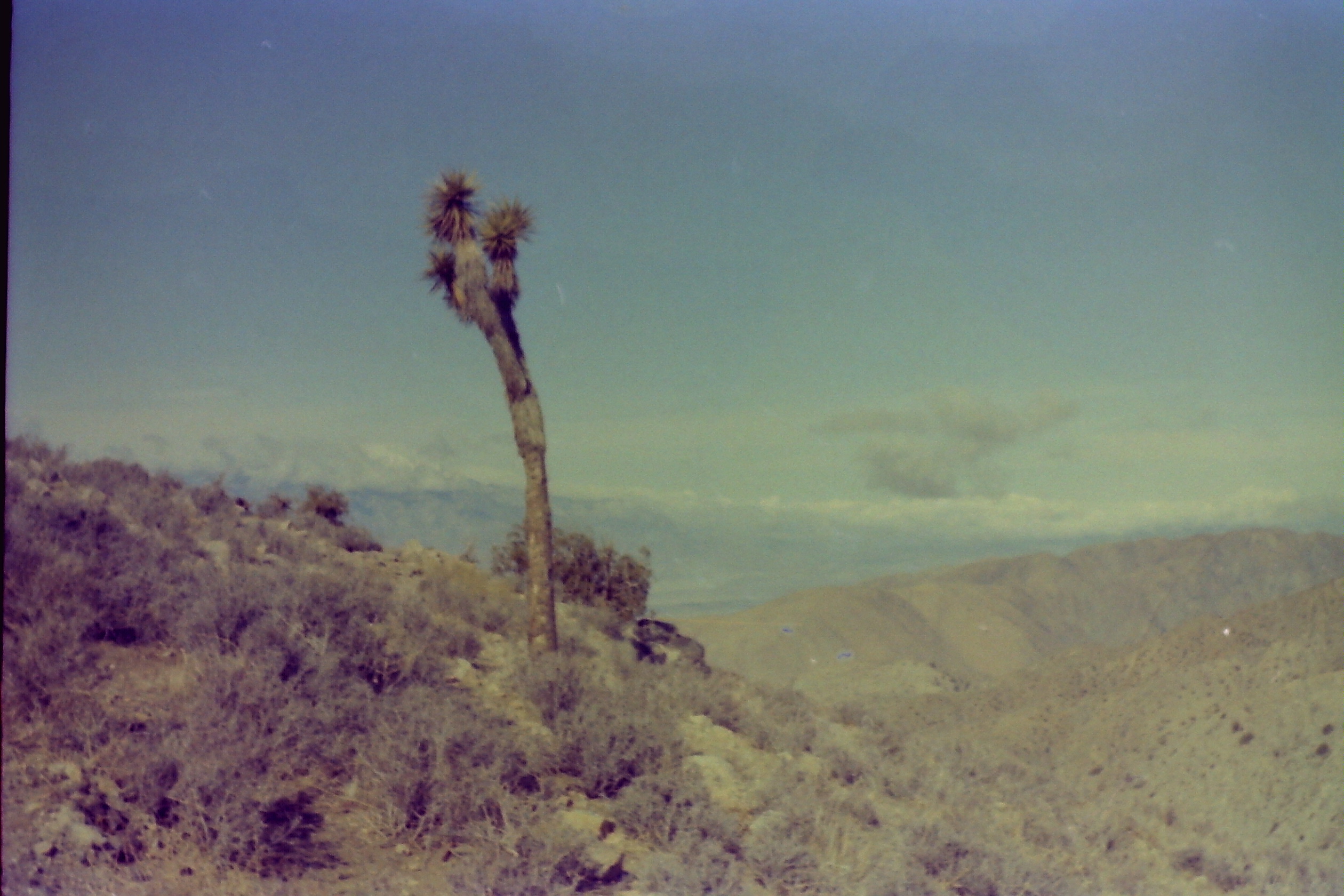 1975-09_P08 phdtSep1975