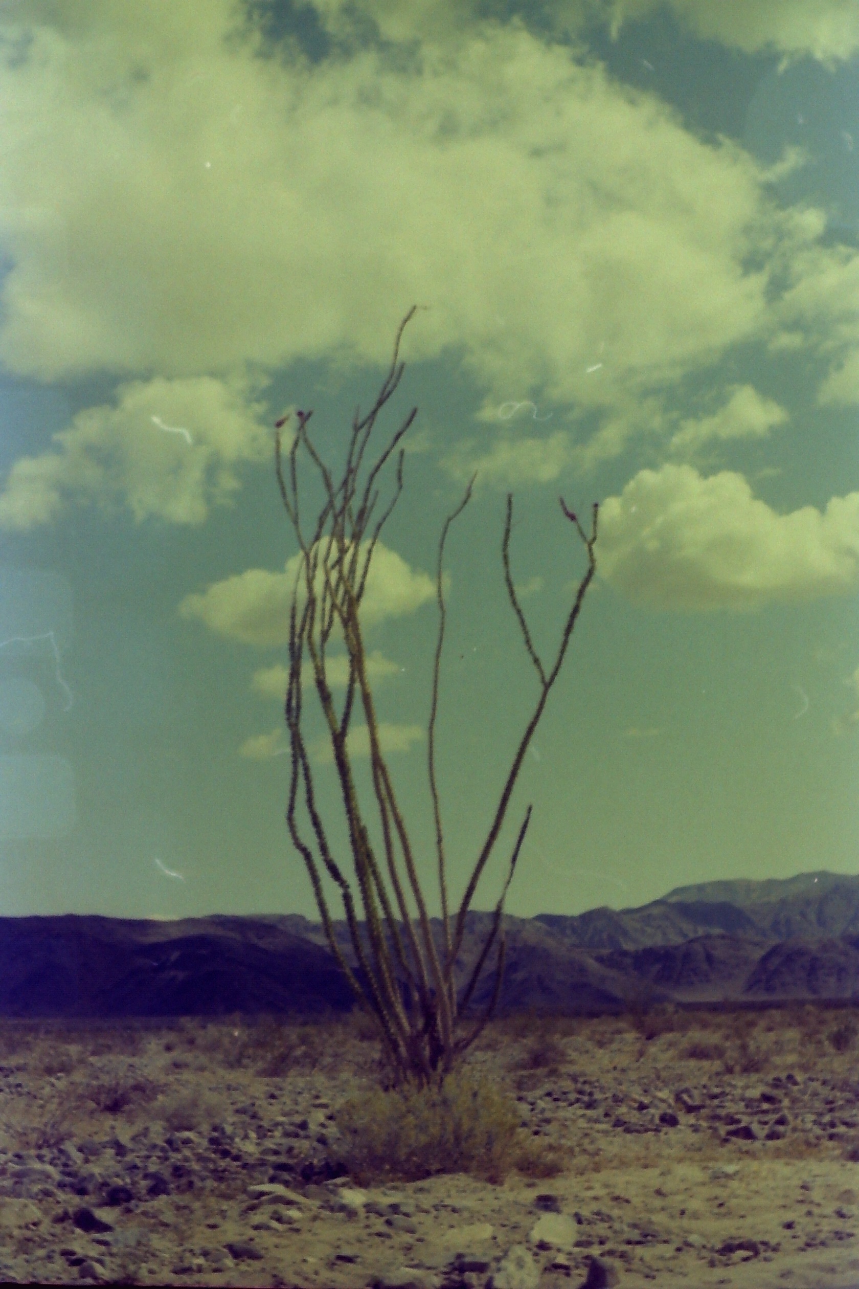 1975-09_P11 phdtSep1975