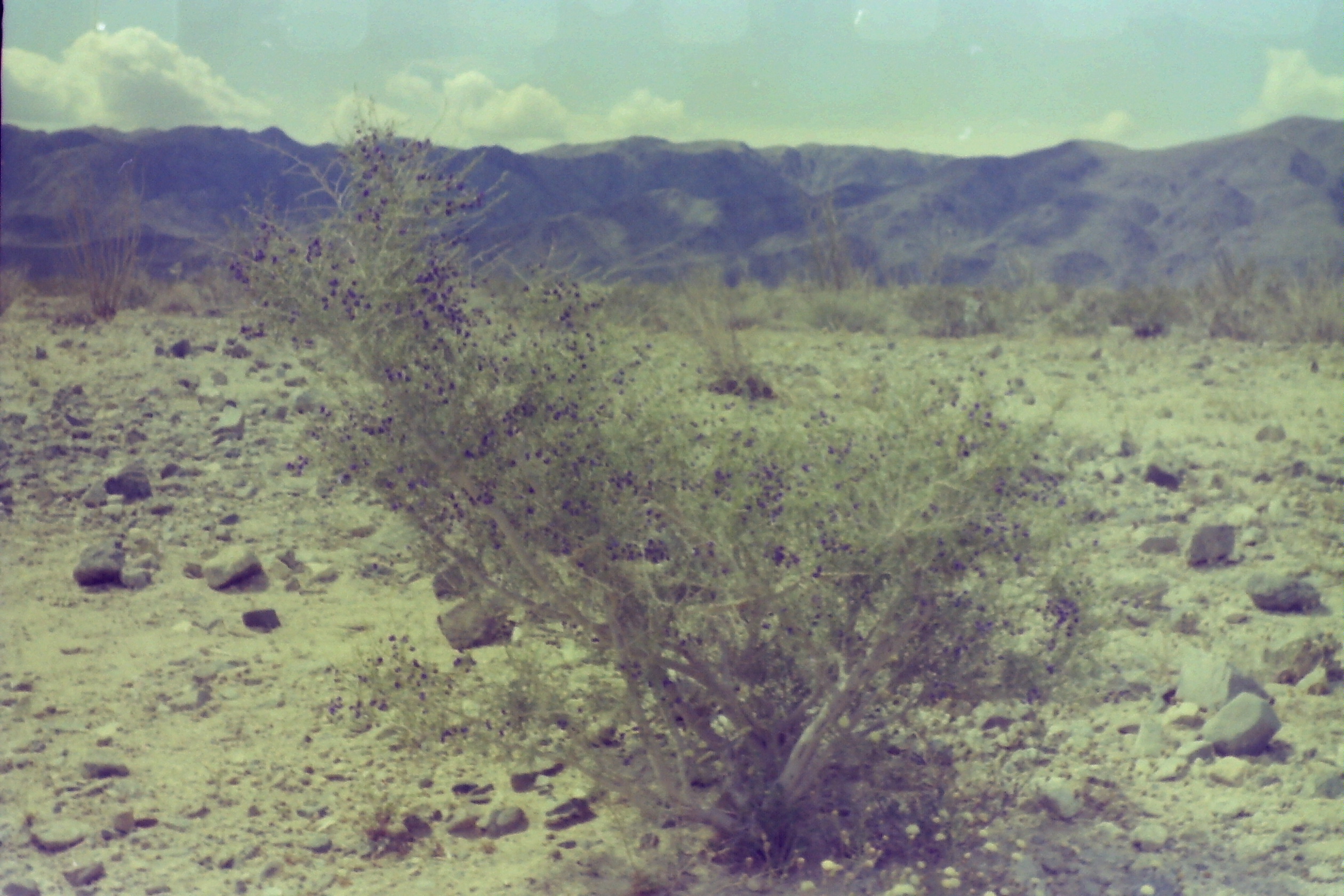 1975-09_P12 phdtSep1975