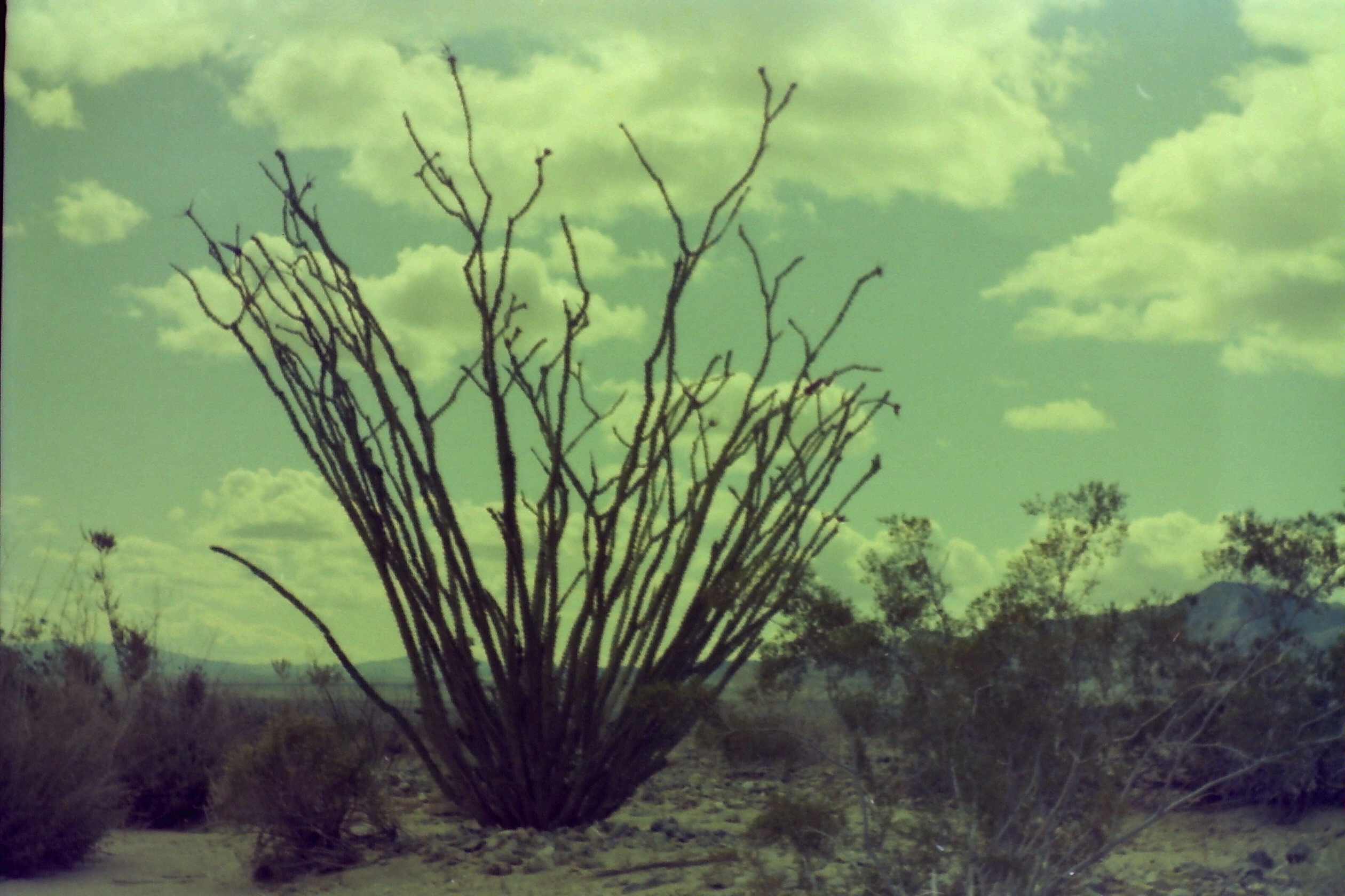 1975-09_P13 phdtSep1975