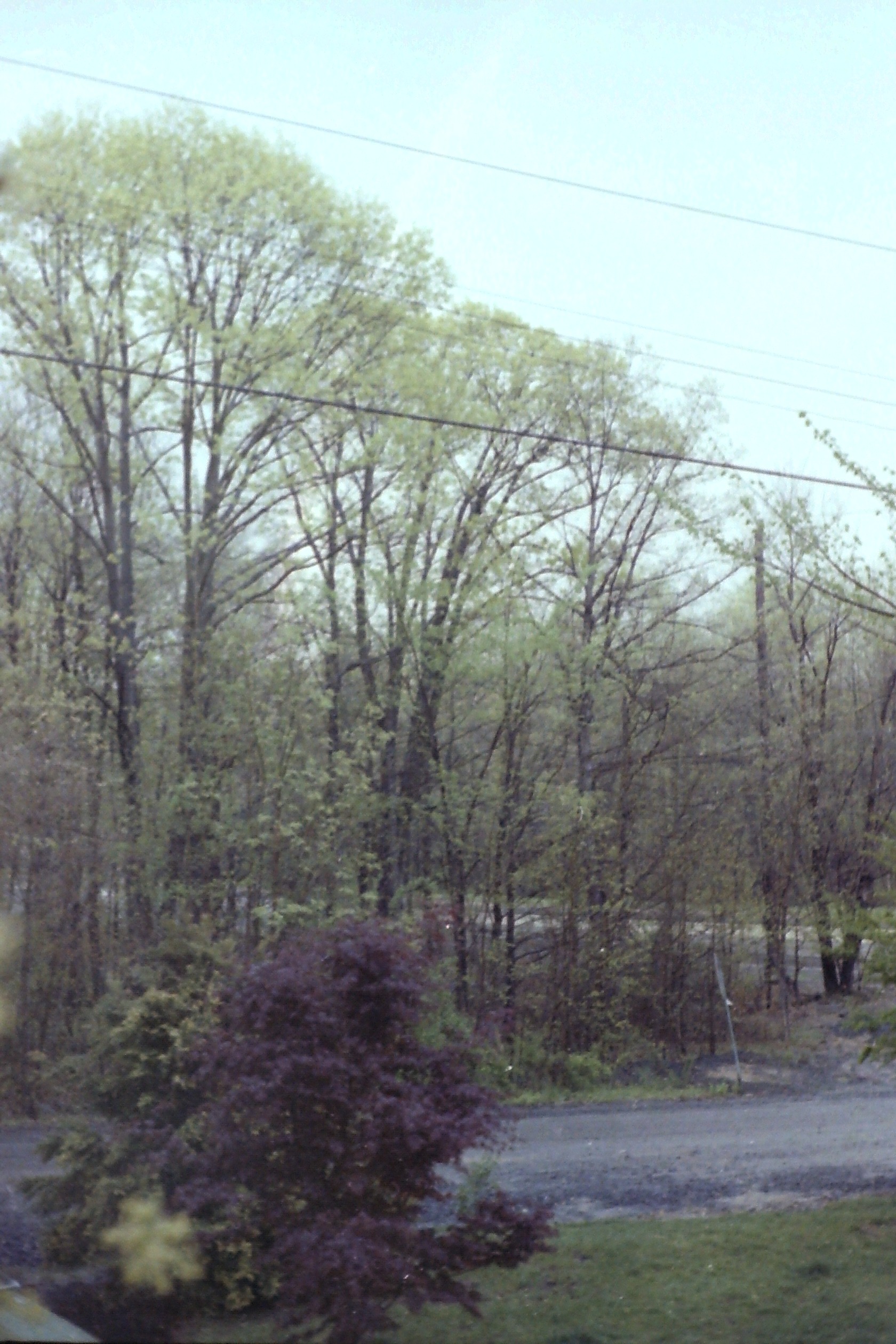 1978-08_P04 phDtAug1978