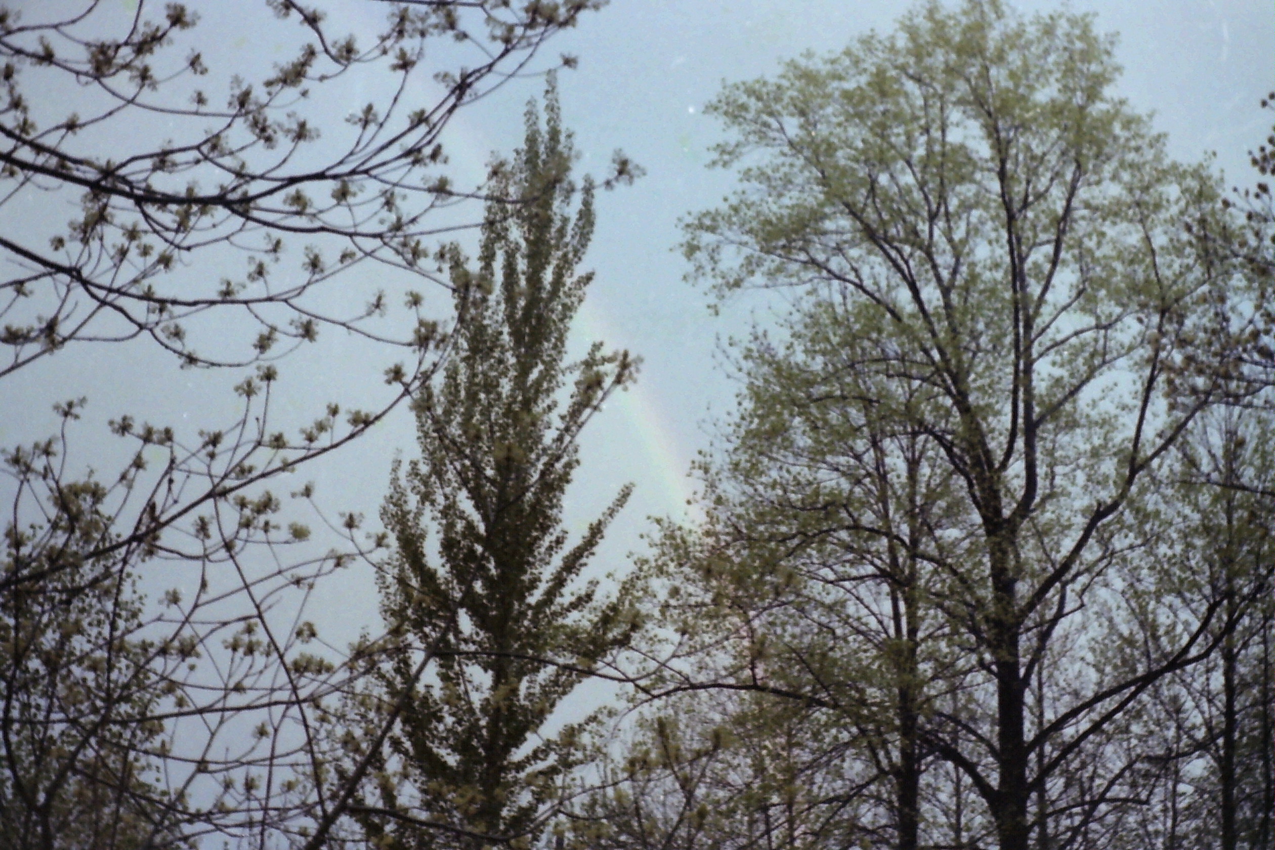 1978-08_P07 phDtAug1978