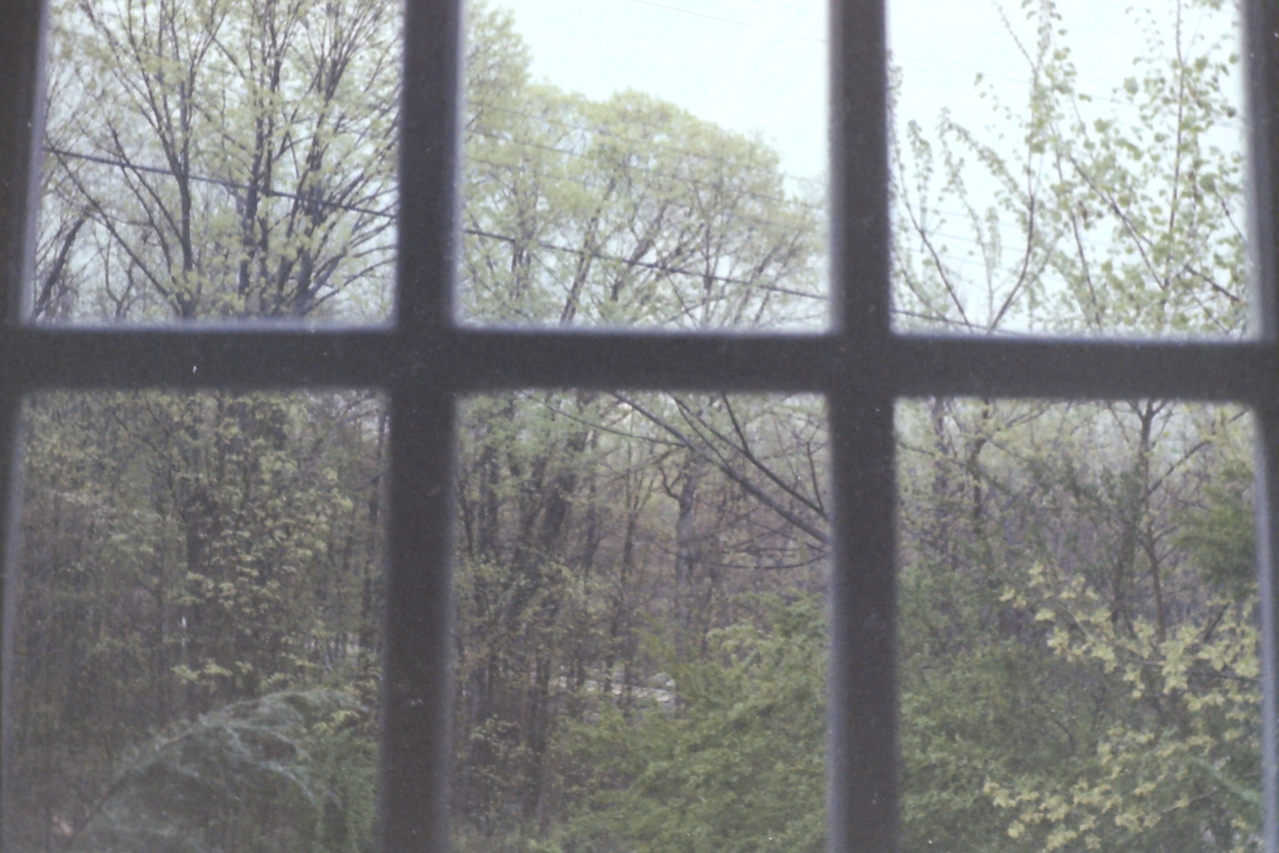 1978-08_P08 phDtAug1978