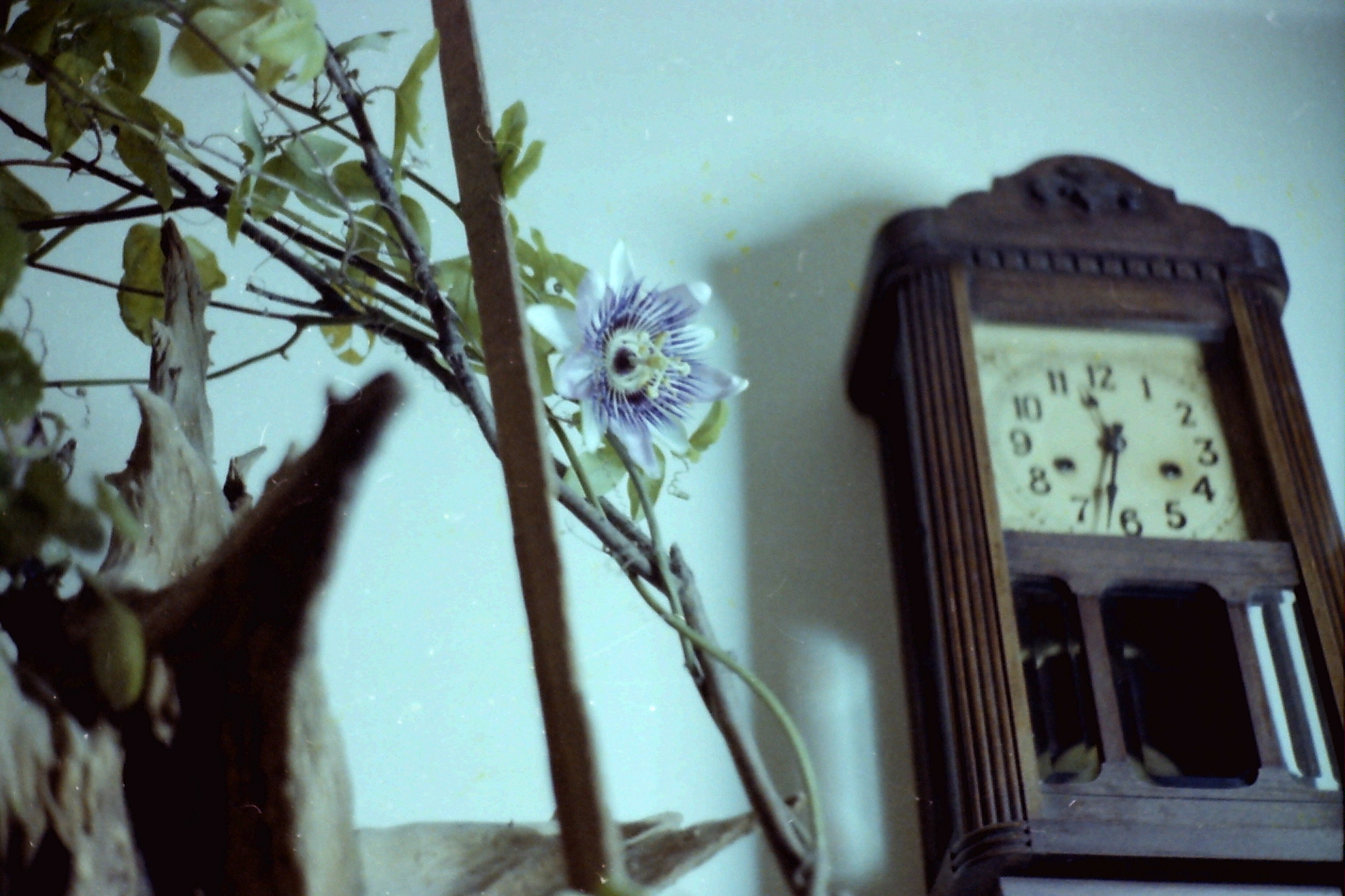1979_P005 phDtJan1979