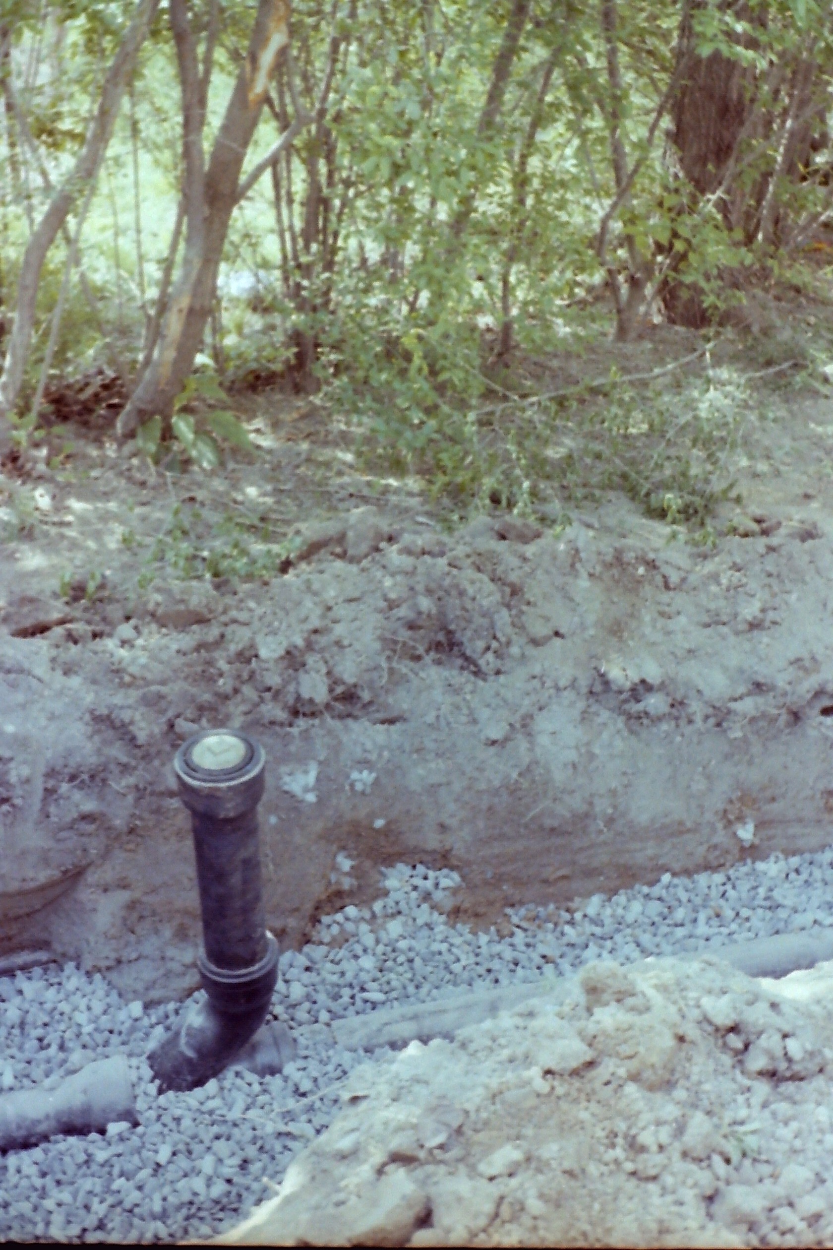 1979-05_P19 ptDtMay1979