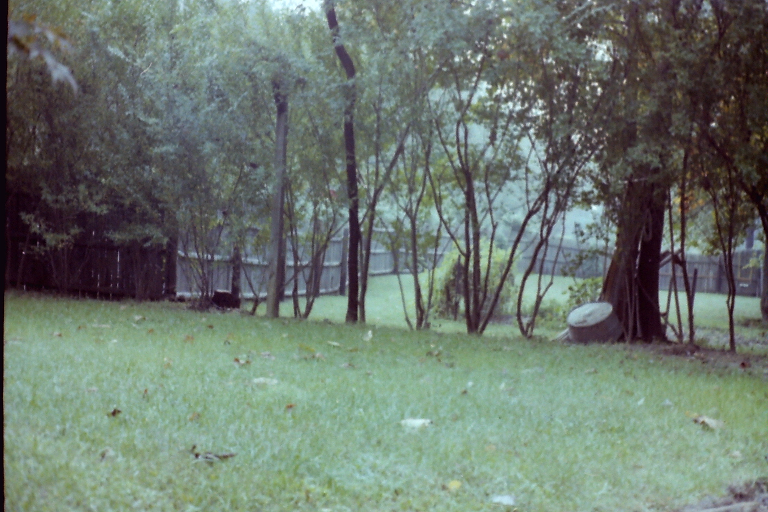 1979-10_P02 ptDtOct1979