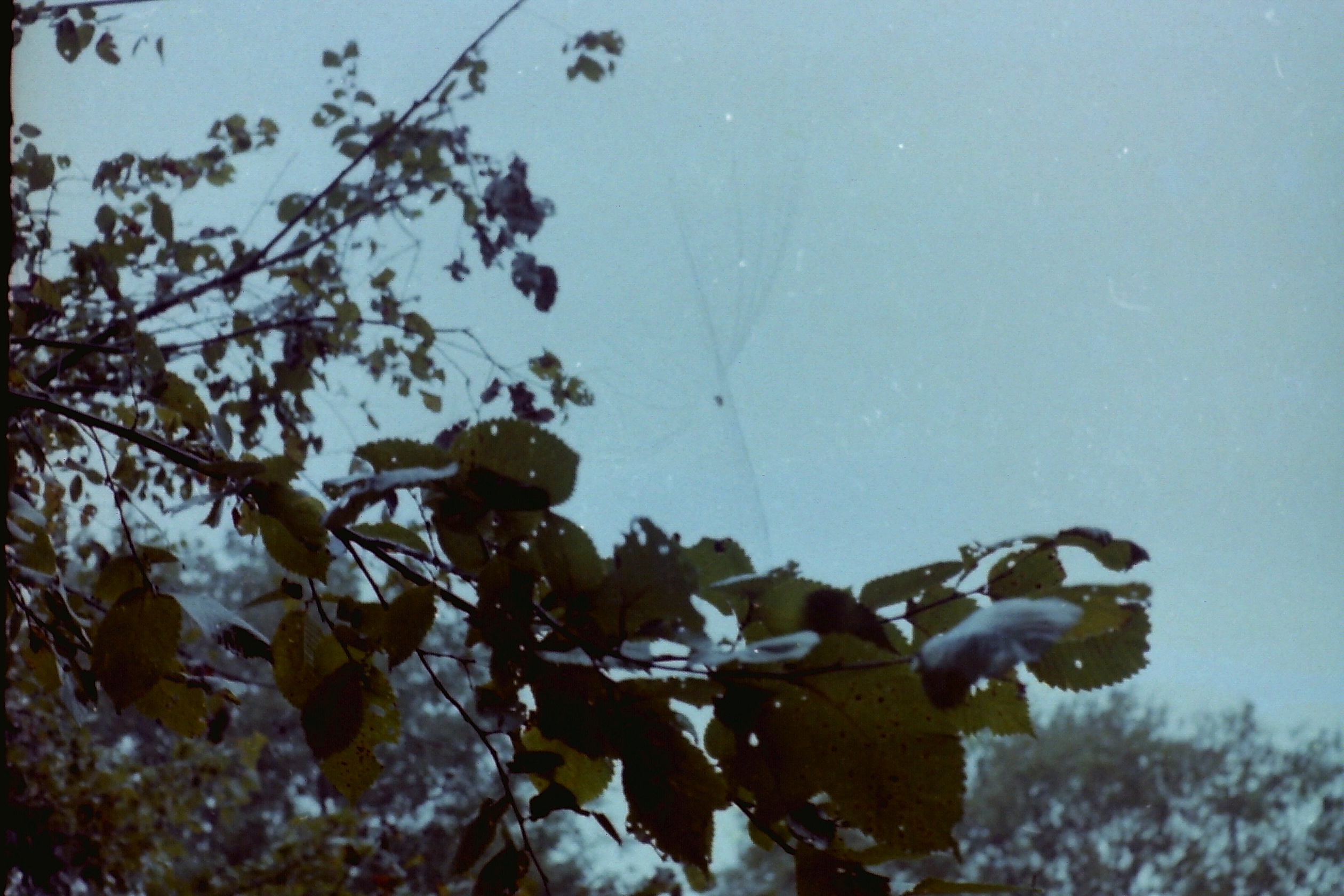 PICT0031 ptDtSep1979