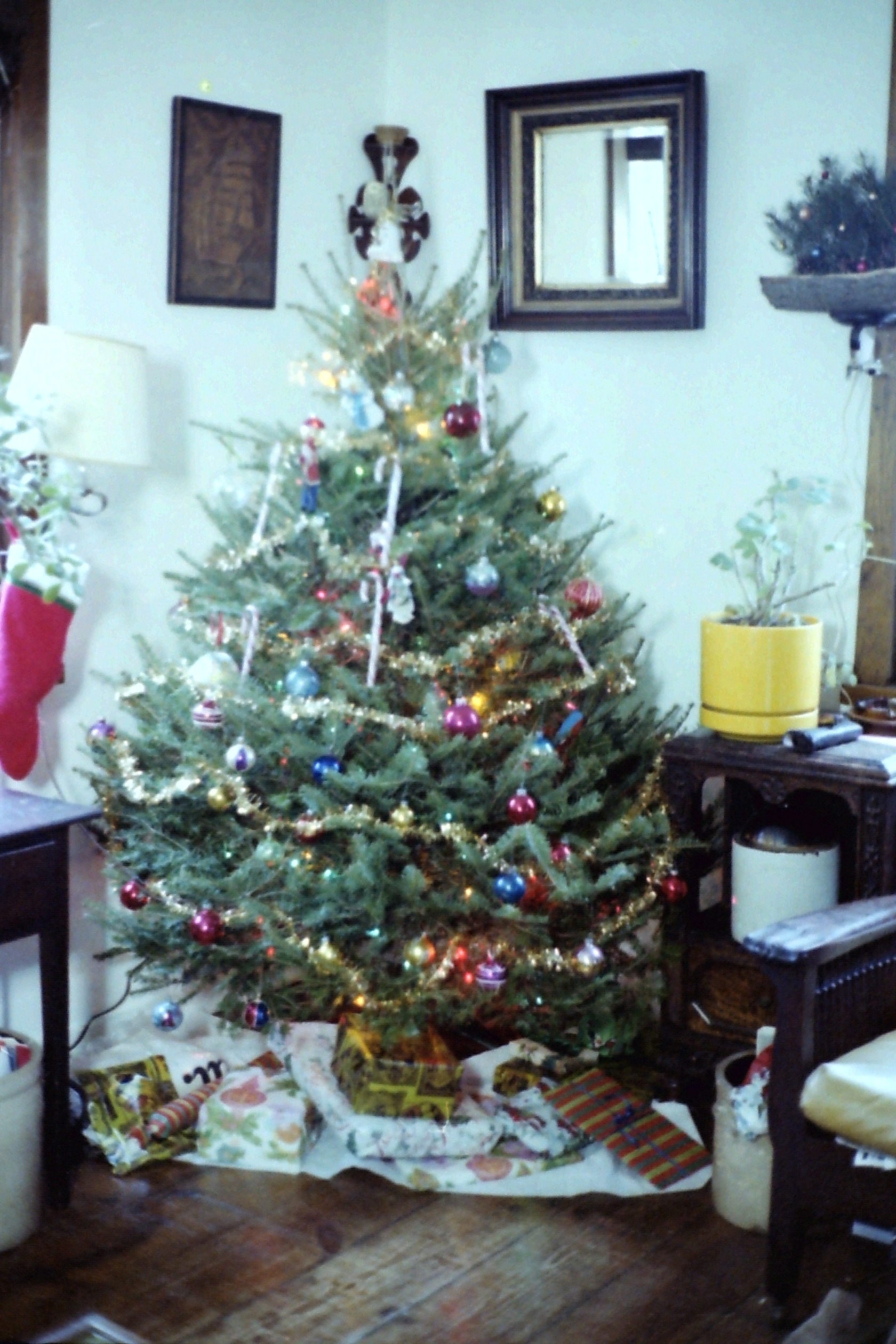 1979-12_P01 phDtFeb1980