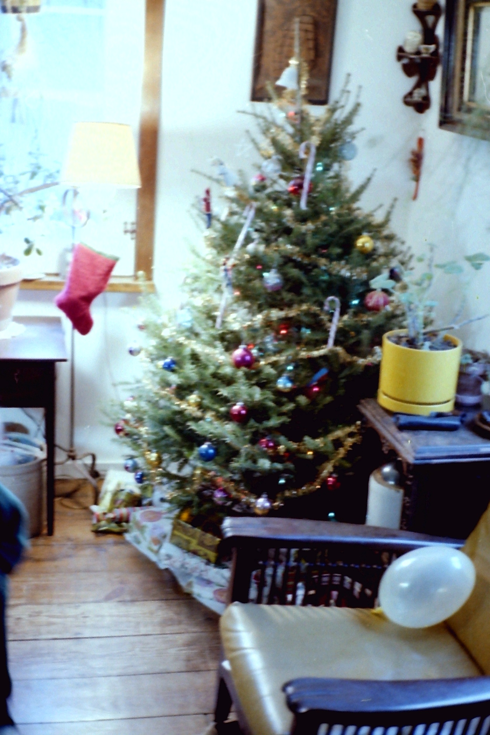 1979-12_P02 phDtFeb1980