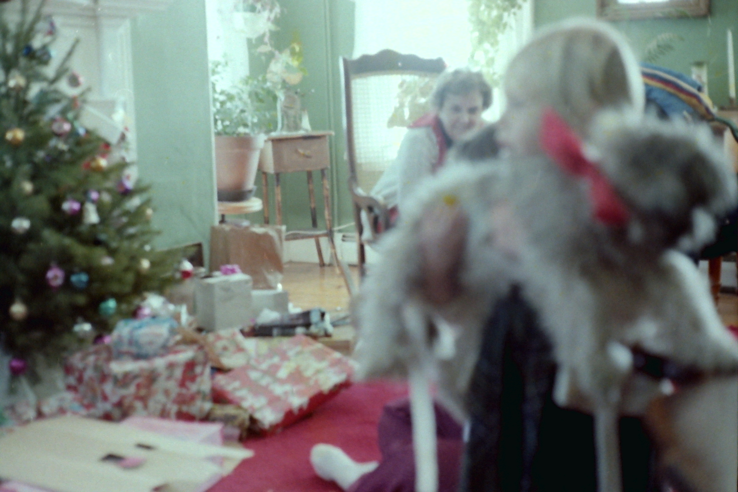 1980-12_P24 wrDtDec1980