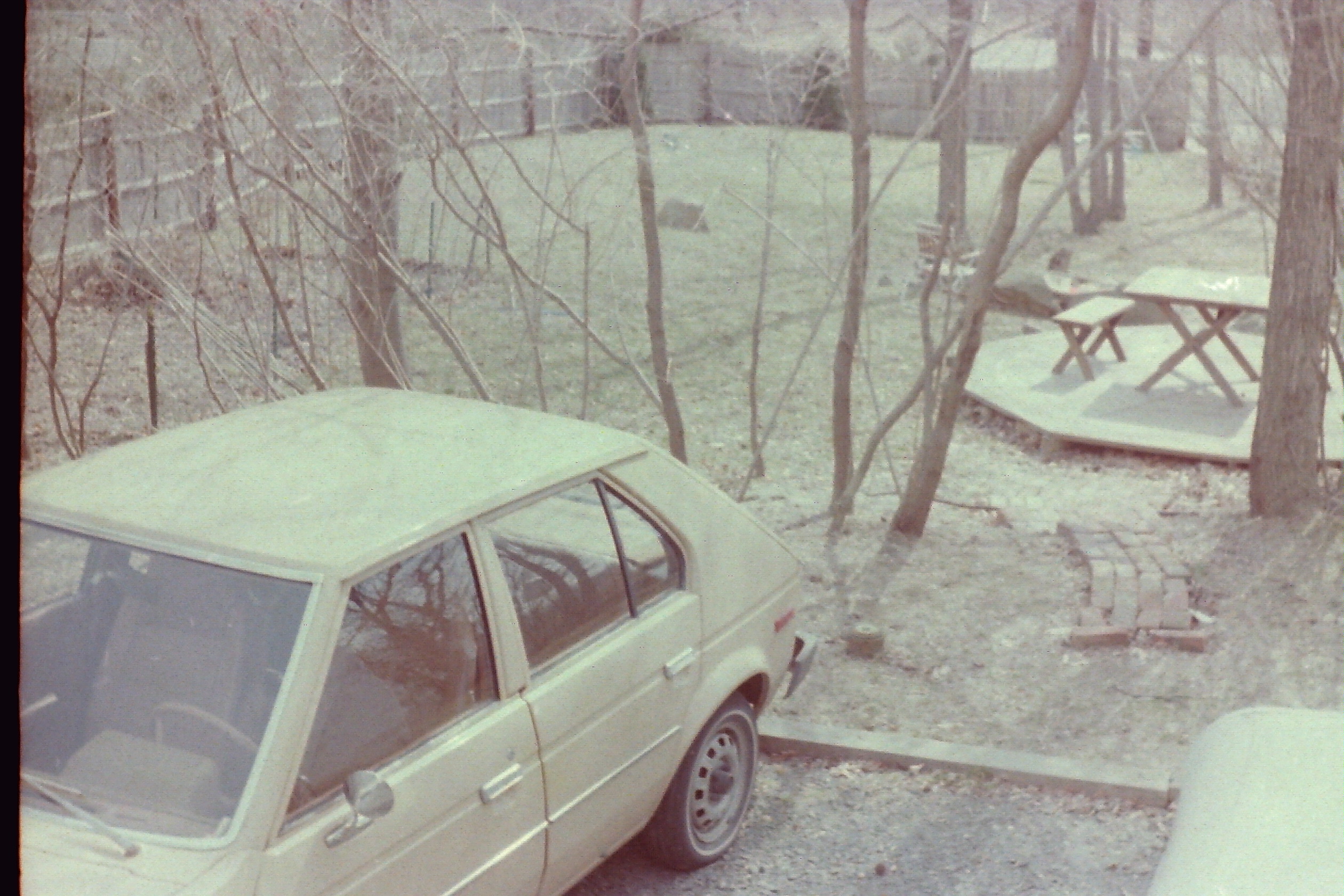 PICT0039 phDtMar1981